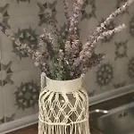 Olivegrove House * Vourvourou