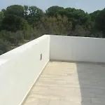 Olivegrove House Apartamento Vourvourou