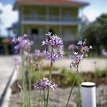 Olivegrove House
