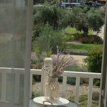 Olivegrove House Апартаменты