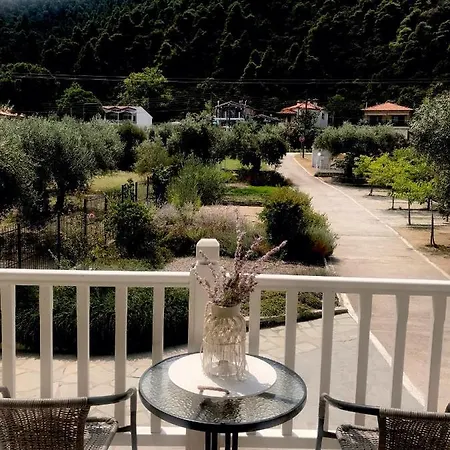 Olivegrove House Апартаменты