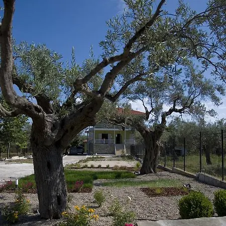 Olivegrove House