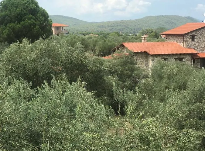 Olivegrove House * Vourvourou