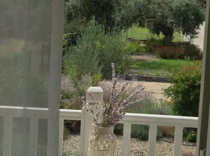 Olivegrove House Apartmán