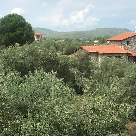 Olivegrove House * 沃尔沃罗