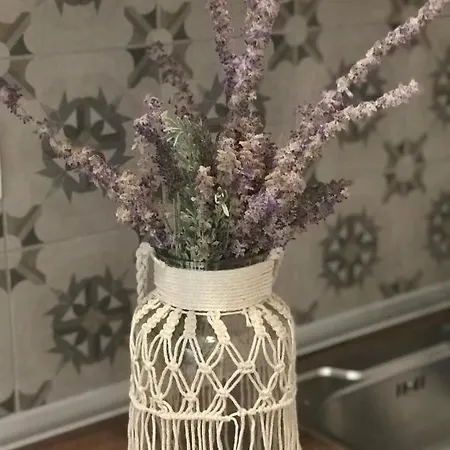 Olivegrove House * Vourvourou